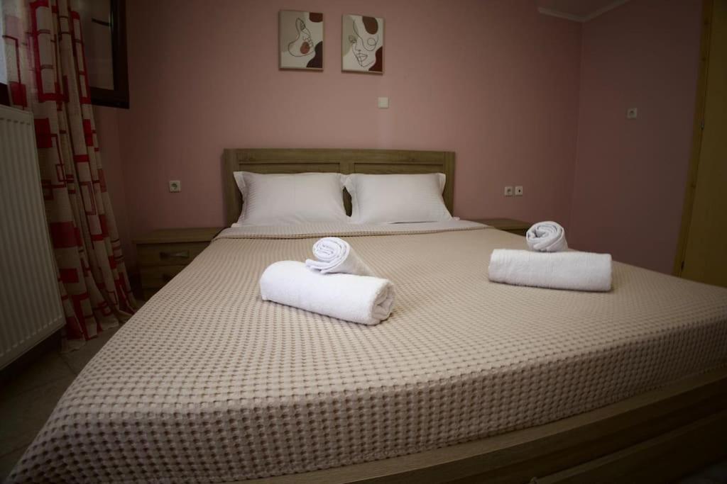 Mountain Harmony Home Konitsa Zewnętrze zdjęcie